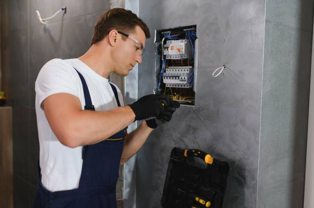 Best Electric Panel Repair  in Worthington, MN